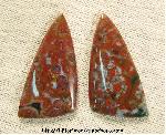 Orbicular Jasper Cabochons