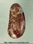 Orbicular Jasper Cabochon