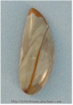 Owyhee Jasper