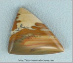 Owyhee Jasper