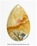 Owyhee Jasper