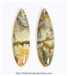 Owyhee Jasper Pair