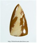 Owyhee Jasper Owyhee Jasper