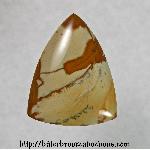 Owyhee Jasper Cabochon