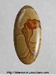 Owyhee Jasper Cabochon