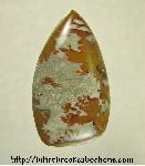 Owyhee Jasper Cabochon