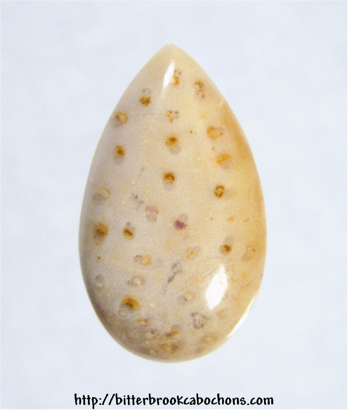 Palmwood Cabochon