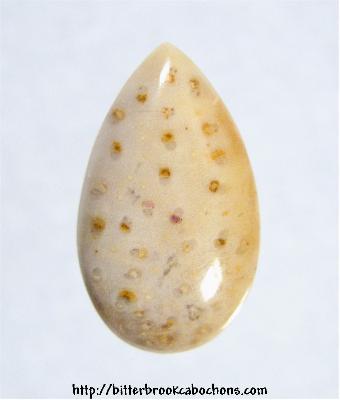 Palmwood Cabochon