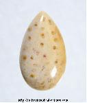 Palmwood Cabochon Palmwood Cabochon