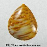 Palmwood Cabochon