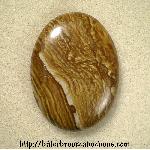 Palomino Jasper Cabochon