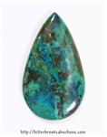 Parrot Wing Parrot Wing
