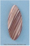 Petrified Wood Petrified Wood