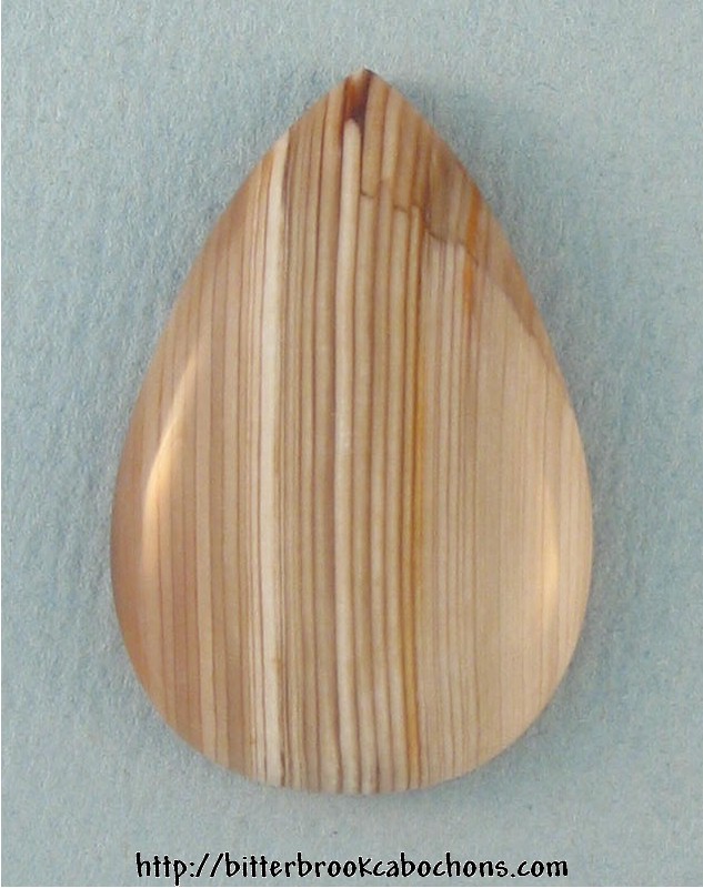 Petrified Wood