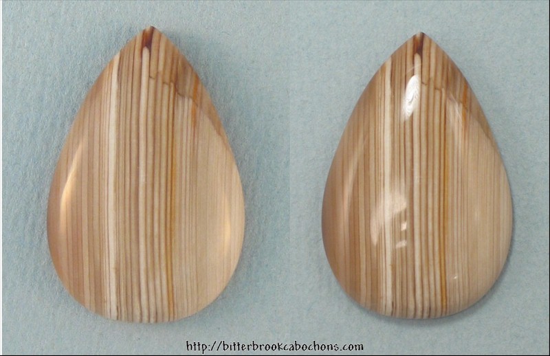 Petrified Wood