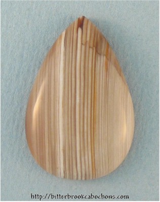 Petrified Wood