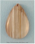 Petrified Wood Petrified Wood