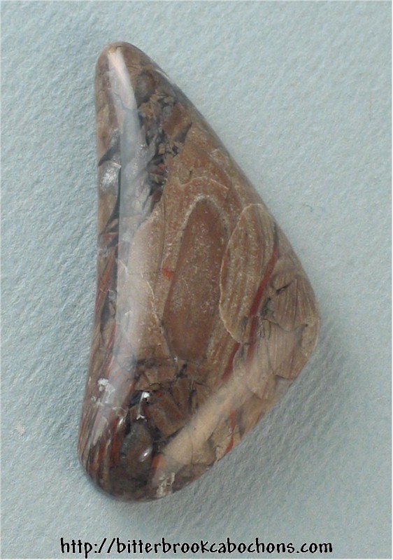 Petrified Wood
