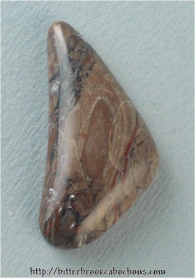Petrified Wood