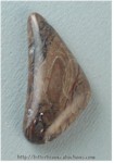 Petrified Wood Petrified Wood
