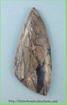 Opalized Petrified Wood Opalized Petrified Wood