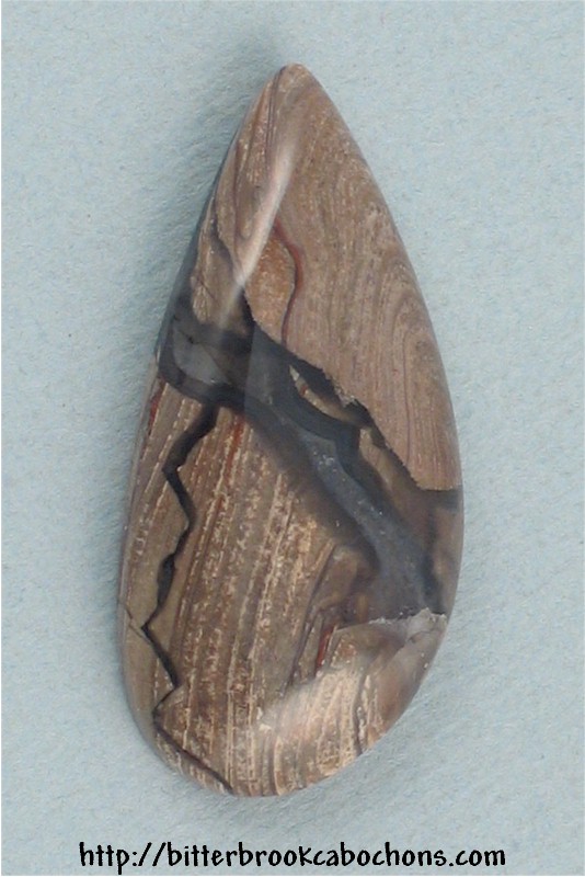 Petrified Wood