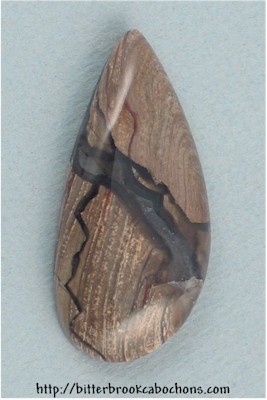 Petrified Wood