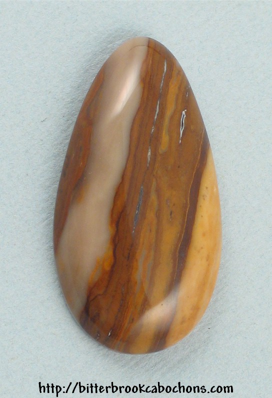Petrified Wood