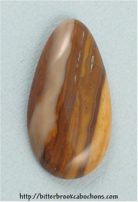 Petrified Wood