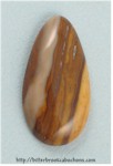Petrified Wood Petrified Wood