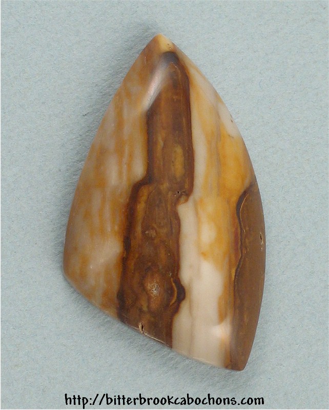 Petrified Wood
