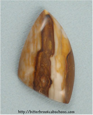 Petrified Wood
