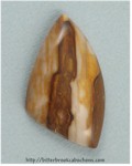 Petrified Wood Petrified Wood