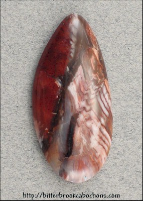 Petrified Wood