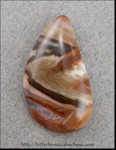 Petrified Wood