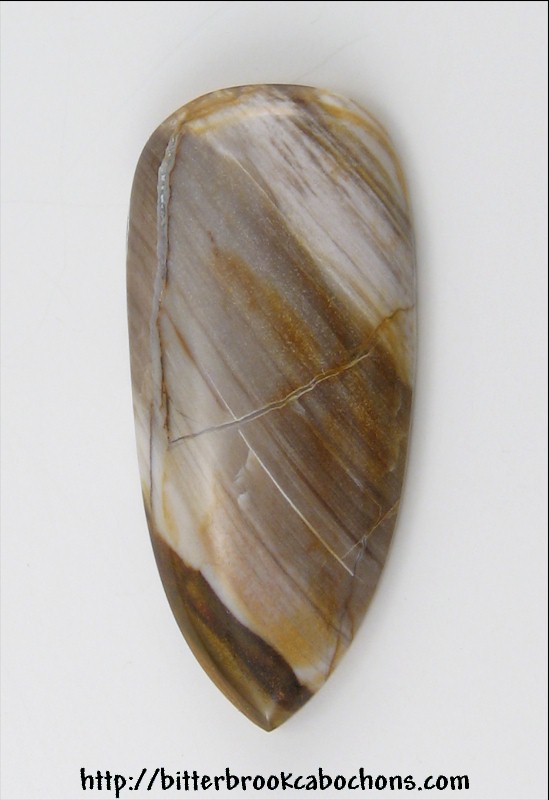 Petrified Wood
