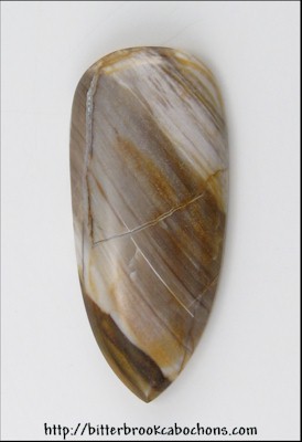 Petrified Wood