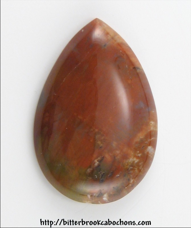 Petrified Wood