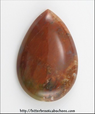 Petrified Wood