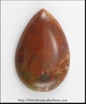 Petrified Wood Petrified Wood