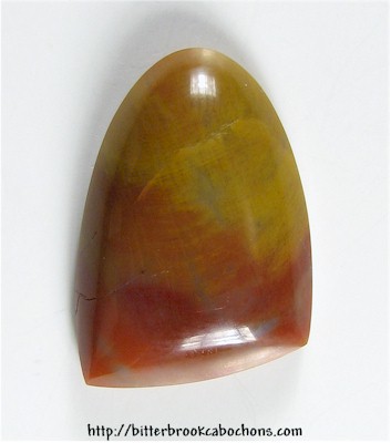 Petrified Wood
