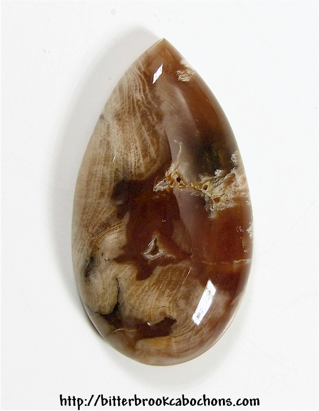 Petrified Wood
