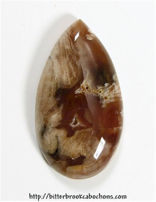 Petrified Wood