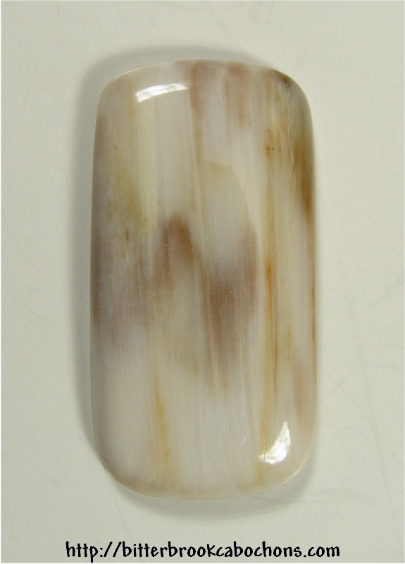 Petrified Wood