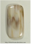 Petrified Wood Petrified Wood
