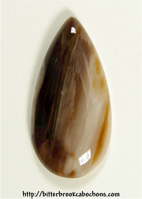 Petrified Wood