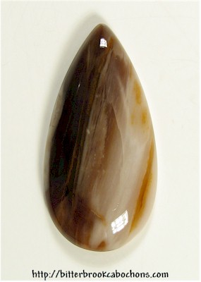 Petrified Wood