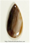 Petrified Wood Petrified Wood