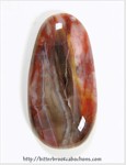 Petrified Wood