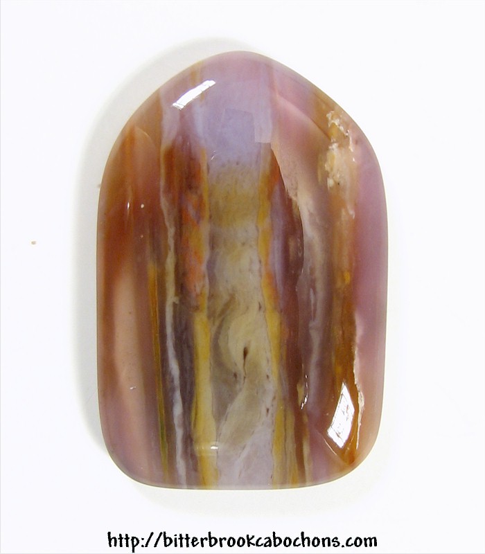 Petrified Wood